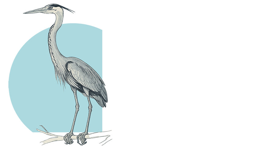 Blue Heron Charters fishing boat on the Douglas Channel in Kitimat, BC, shown under the company logo promoting guided fishing and coastal tourism.