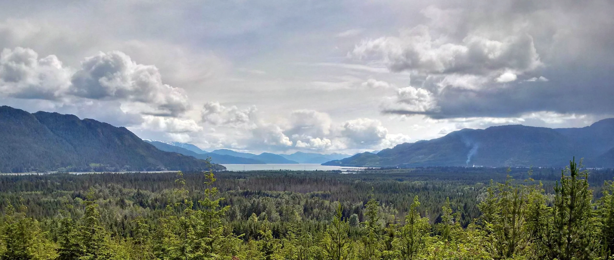 Scenic view of the Douglas Channel coastline in northwest BC with forested mountains and calm ocean waters.