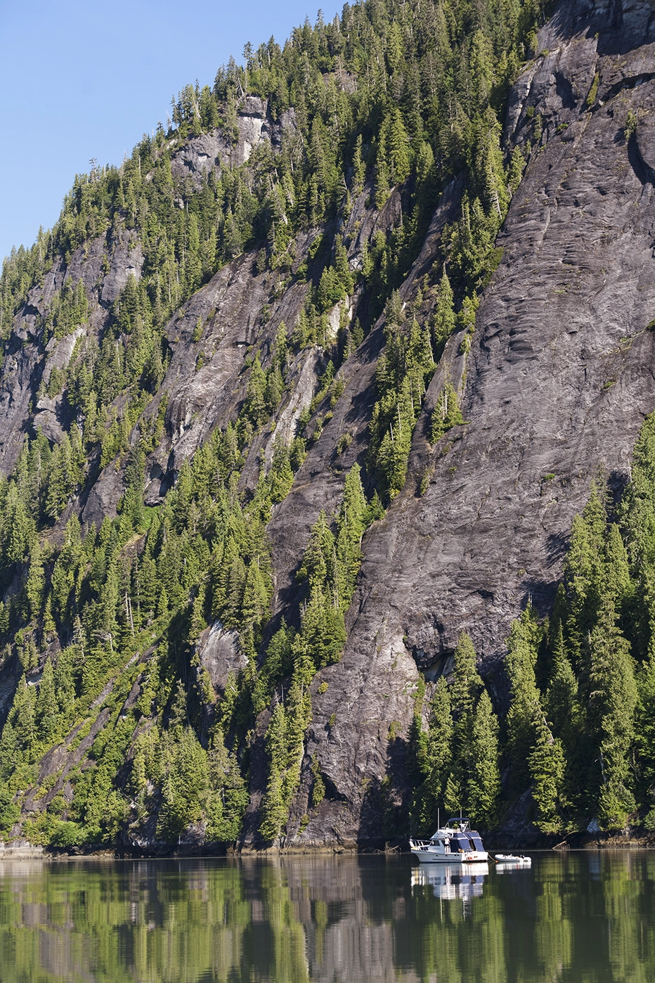 Eco Tours & Sightseeing by Boat